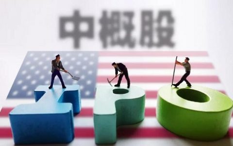 股票002181